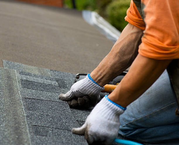 Best Gutter Installation and Roofing  in Proctor, VT