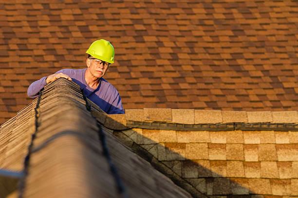 Best Storm Damage Roof Repair  in Proctor, VT