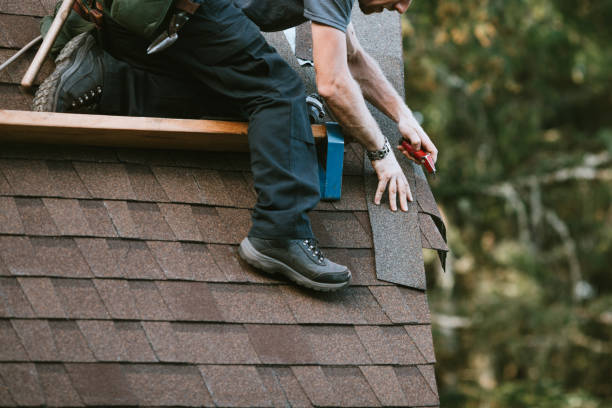 Best Gutter Installation and Roofing  in Proctor, VT